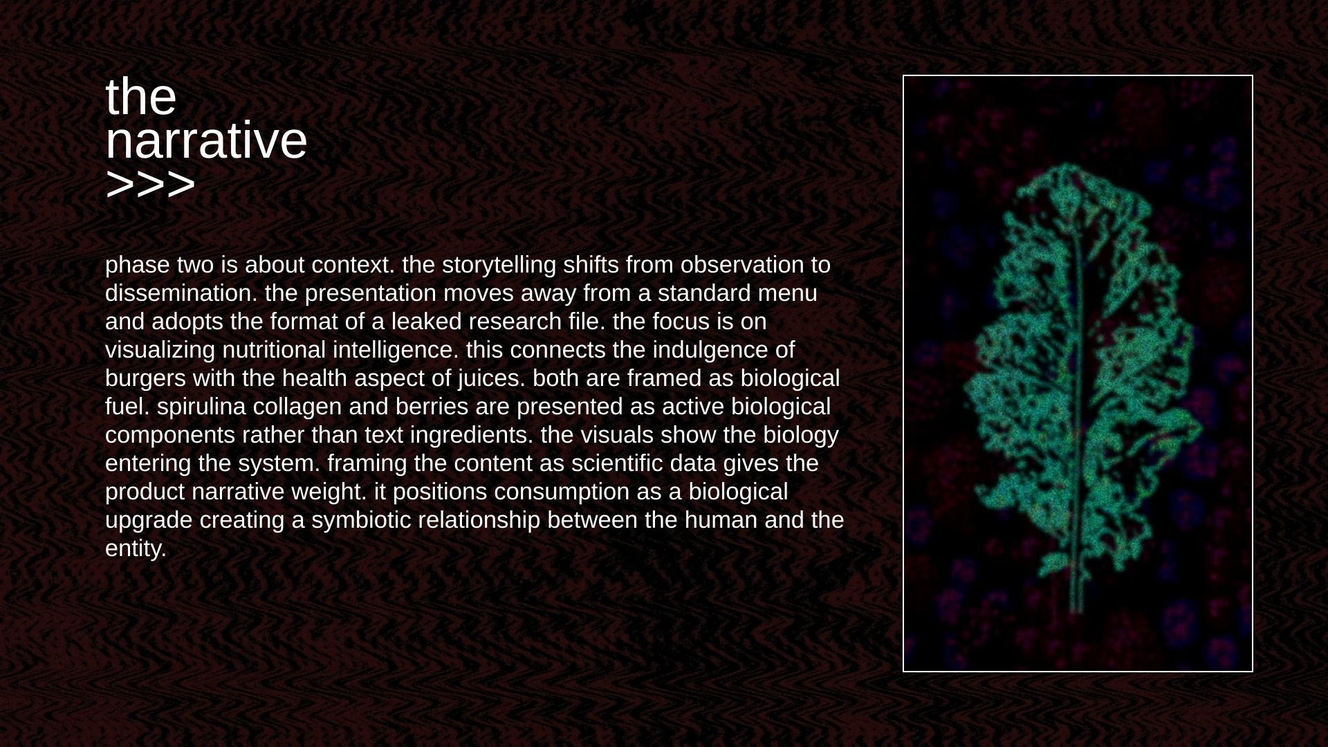 Slide 5