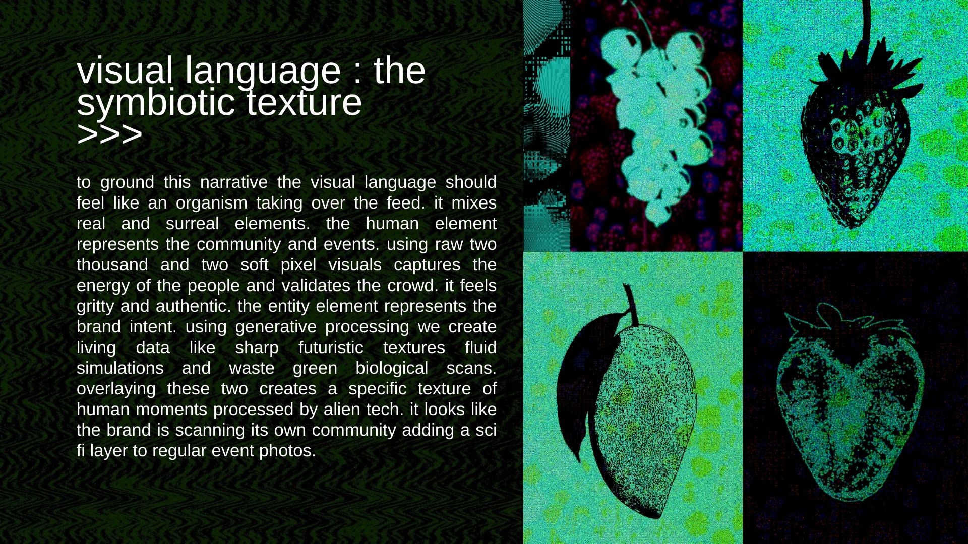 Slide 6